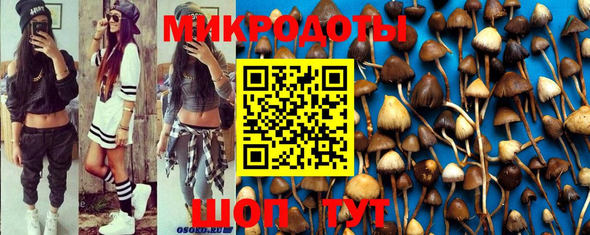 Псилоцибиновые грибы ЛСД Рузаевка