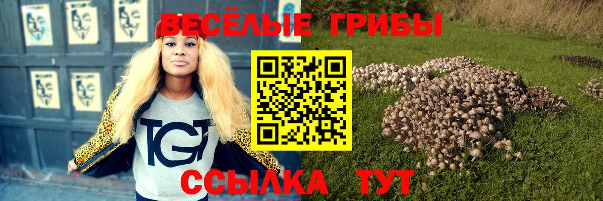 что такое наркотик  Вход с VPN  Псилоцибиновые грибы мицелий  Рузаевка  Псилоцибиновые грибы ЛСД 